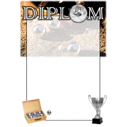 Diplom DVPT1 / 1-3 Petanque