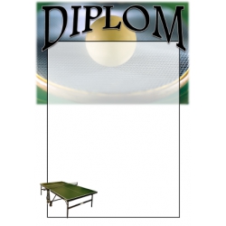 Diplom DVPP1 / 1-3 Stolný tenis