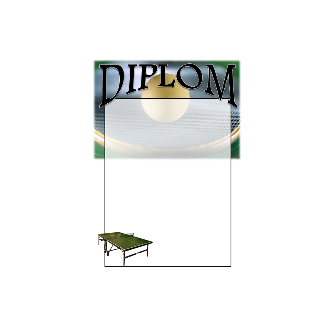 Diplom DVPP1 /  Stolný tenis