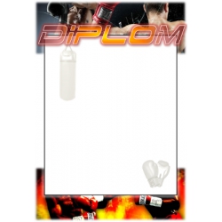 Diplom DVBOX1 / 1-3 Box