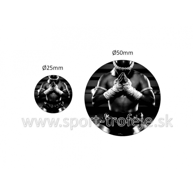 emblém EPMTFK4 muay-thai