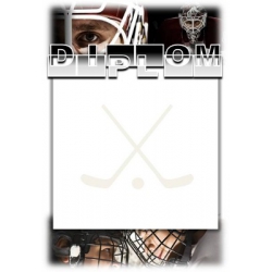 Diplom DVHB1 / 1-3 Hokejbal