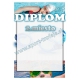 Diplom DVPLD1 / 2.miesto Plávanie deti