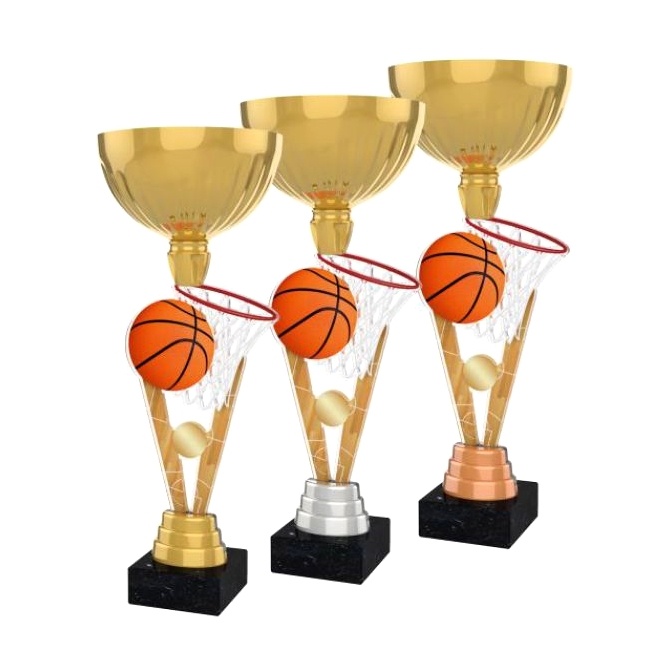 Pohár / Trofej ACUPGOLDM3 / GSB basketbal