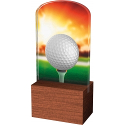 Trofej / plaketa ACD1M5 golf