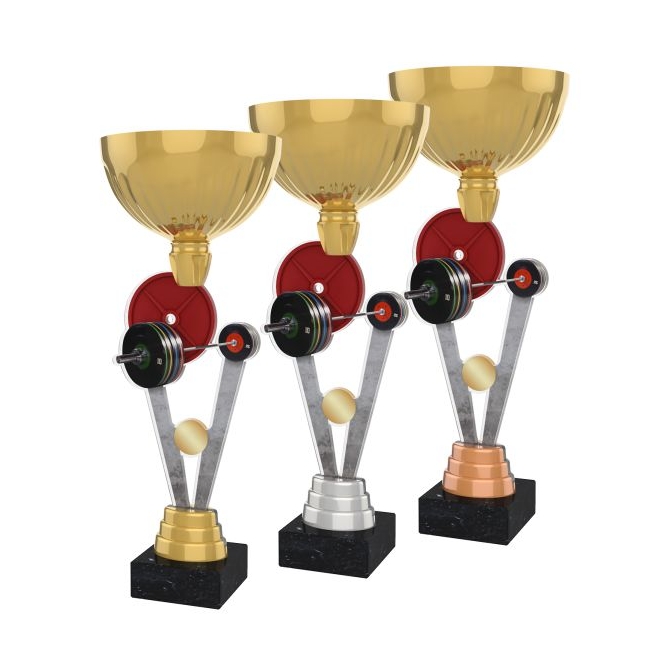Pohár / Trofej ACUPGOLDM35 / GSB kulturistika