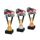 Trofej ACUTM50 / GSB hasiči