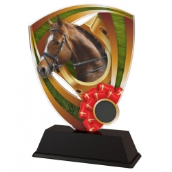 Trofej / plaketa CACUF001M26 kone