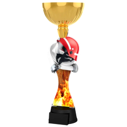 Pohár / Trofej ACUPCGM50 hasiči