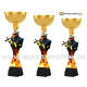 Pohár / Trofej ACUPCGM56 hasiči