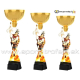 Pohár / Trofej ACUPCGM58 hasiči