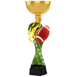 Pohár / Trofej ACUPCGM21 americký futbal