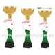Pohár / Trofej ACUPCGM34 karty
