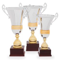 Pohár S35024 univerzálny