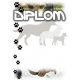 Diplom DVK9 kynologia