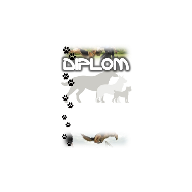 Diplom DVK9 kynologia