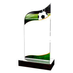 Trofej / plaketa BWPLA509 futbal