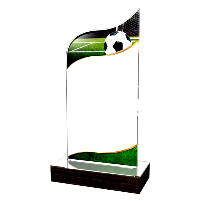 Trofej / plaketa BWPLA509 futbal