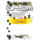 Diplom BVK / kynologia 1.miesto