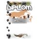 Diplom DVK9 / kynologia 2.miesto