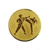 emblém A60 Karate